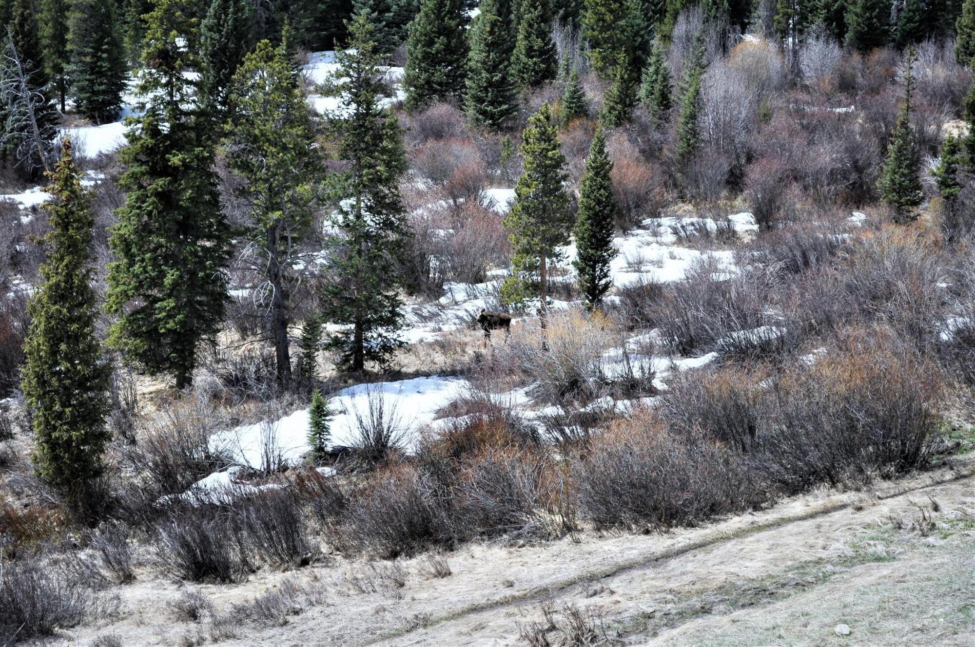 Forest Park Townhome HTJM Silverthorne Exterior foto